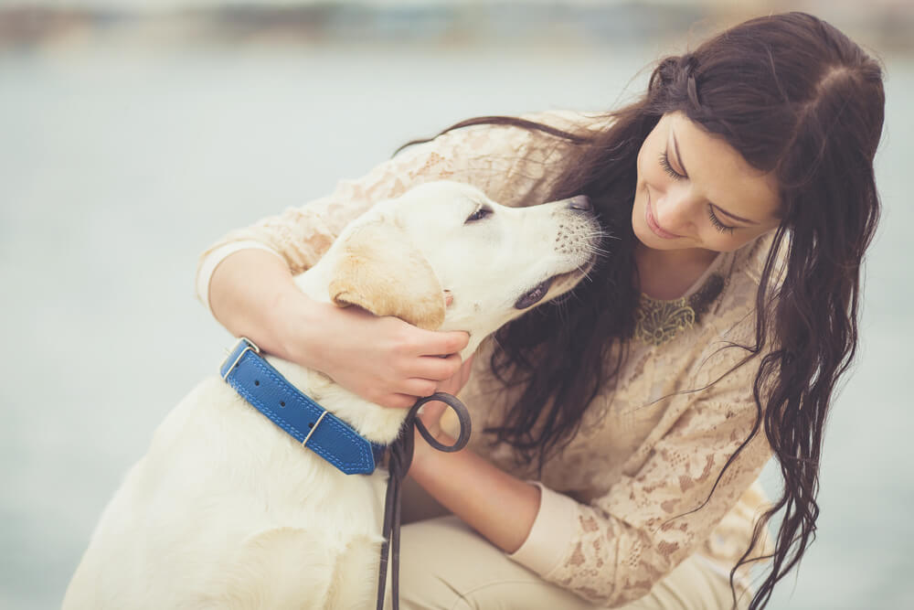 woman with emotional support dog labrador