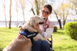 Service dog for PTSD